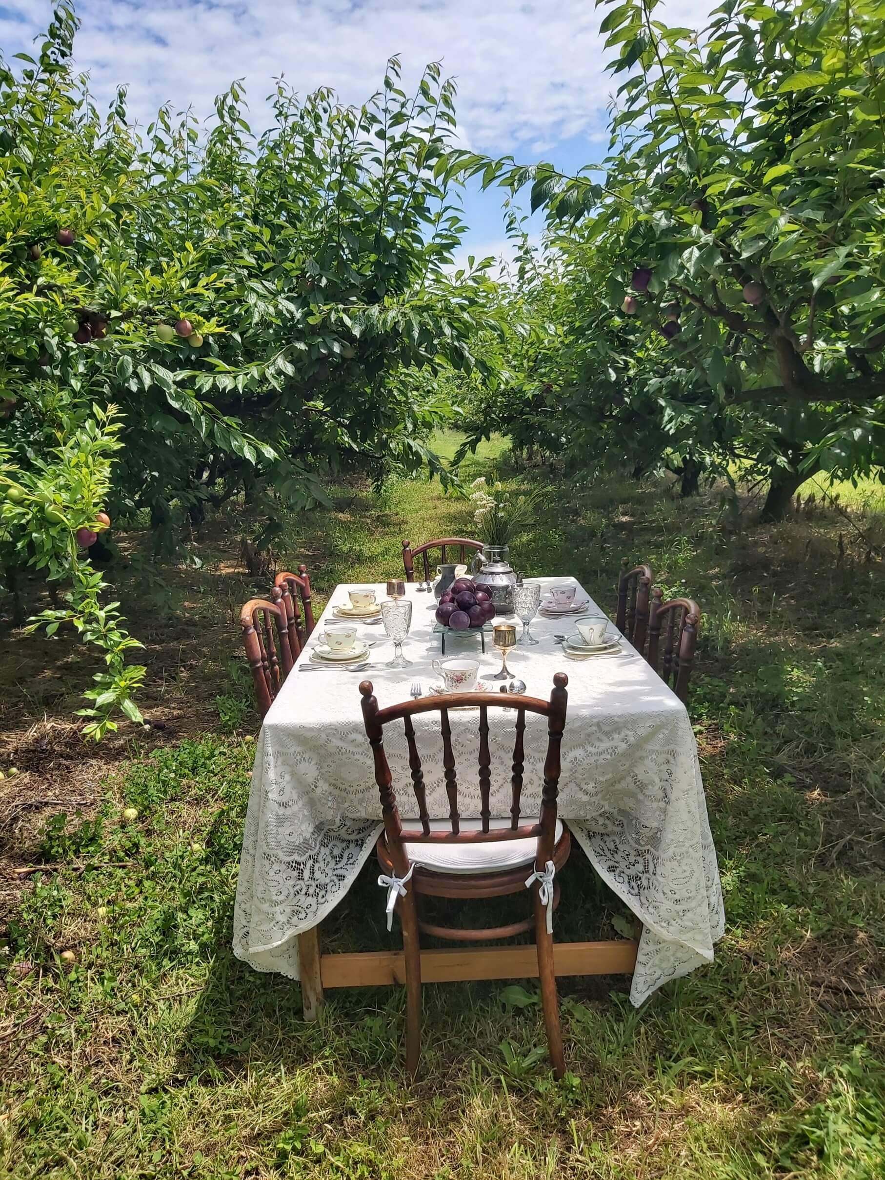 Alandale Fruits orchard